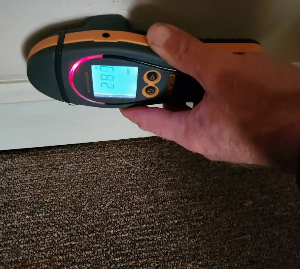 Moisture detection at baseboard during Sewage Cleanup & Sanitation in Enumclaw